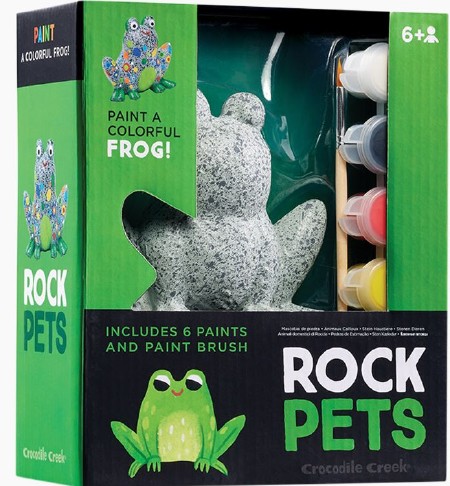 Painting Set Rock Pet- Frog
