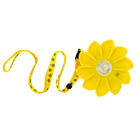 Portable Solar Powered Lamp