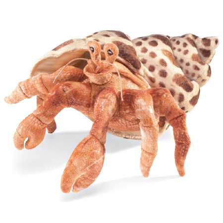 Puppet Hermit Crab