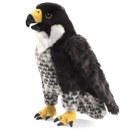 Puppet Peregrine Falcon
