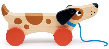 Puppy on Wheels MT