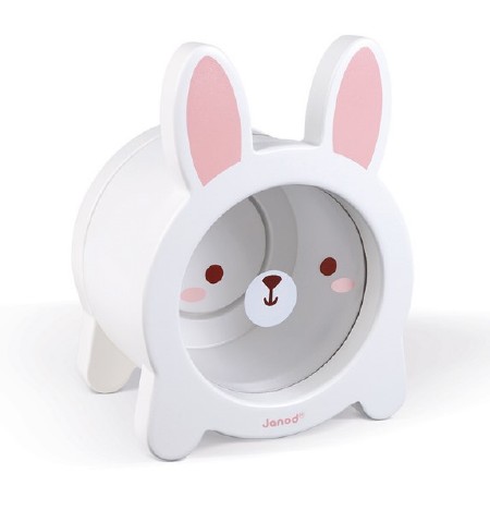 Money Box- Rabbit