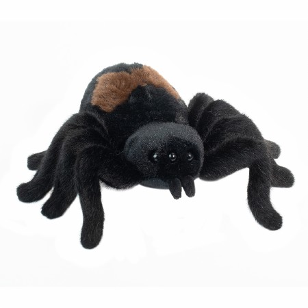 Sneakie Spider