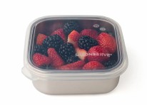 Square Small 15oz Stainless Steel Container with Clear Silicone Lid