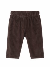 Baby Cords Earth 3-6m