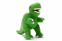 Bath Toy T Rex