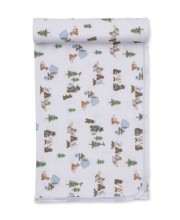 Blanket Campsite Friends