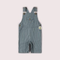 Blue Shortall 12-18m
