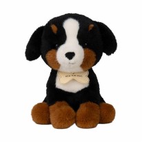 BT Chaps Benny the Bernese Mountain Dog