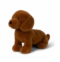 BT Chaps Dax the Dachshund