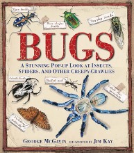 Bugs : A Stunning Pop-Up