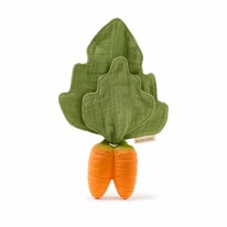 Cathy the Carrot Lovey-Teether