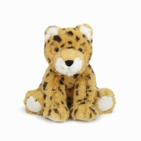 Chelsey Cheetah