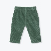 Cord Pant Vert