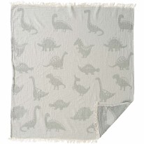 Dino Muslin Blanket