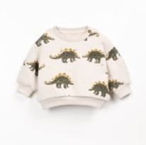 Dino Sweatshirt 3-6m