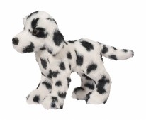 Dooley Dalmation