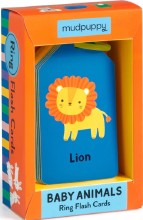 Flash Cards Baby Animals