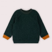 Forest Raglan Sweatshirt 9-12m