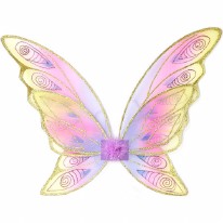 Glitter Rainbow Wings Multi
