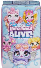 Hatchimals Alive Pack Box