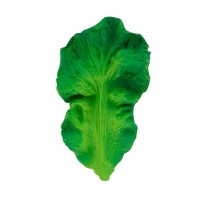 Kendall the Kale Teether