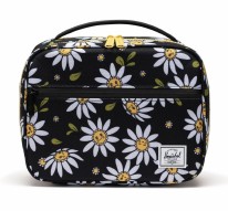 Lunch Box Pop Quiz Daisy Days