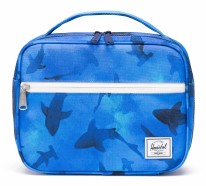 Lunch Box Pop Quiz Sharks