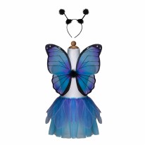 Midnight Butterfly Set Blue 4+