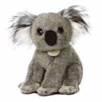 Miyoni Koala