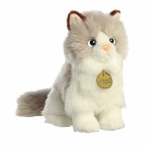 Miyoni Ragdoll Cat