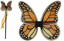 Monarch Wings & Wand