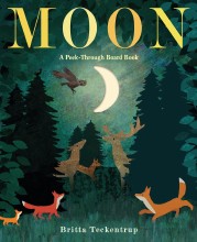 Moon : A Peek-Through Board Book