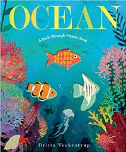 Ocean: A Peek-Through Book