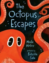 The Octopus Escapes ( Board Book )