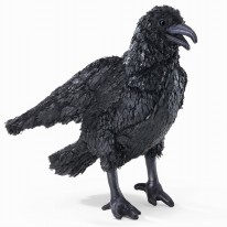 Puppet Crow