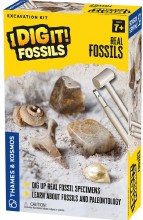 Real Fossils Excavation Kit