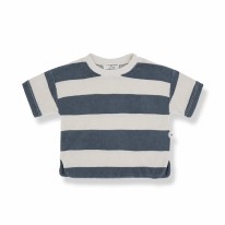 Ricardo Tee Petroleum 12-18m