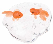 Slime- Fish Bowl Bucket