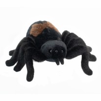 Sneakie Spider