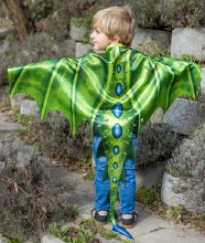 Soft Wings- Legendary Dragon