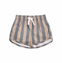 Swim Shorts Ocean Stripe 6-12m