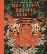 Tiger Tiger Burning Bright!
