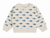 Tortoise Sweatshirt 3-6m