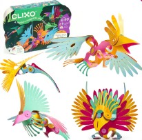 Tropical Birds Pack 24pc