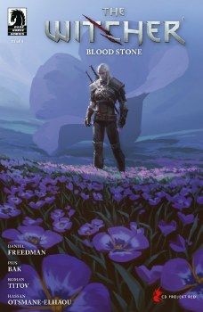 Witcher Blood Stone #1 Cvr C