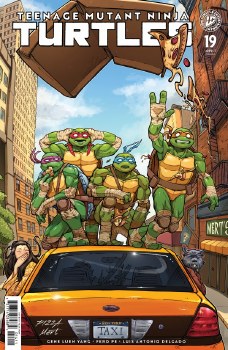 TMNT #19 Cvr D Mert
