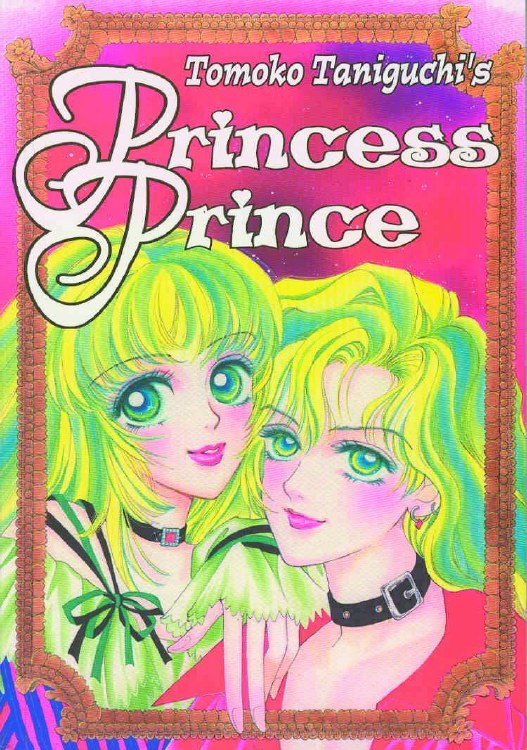 Princess Prince Book 1 GN