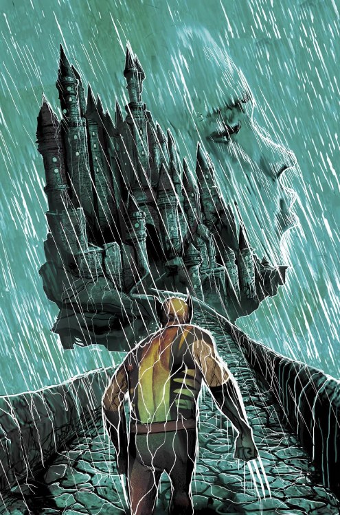 Wolverine #316