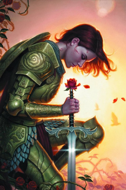 Fables TP VOL 20 Camelot (Mr)